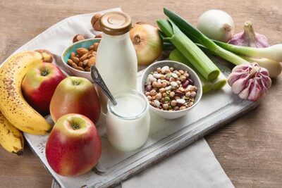 Probiotic rich foods. Healthy diet eating