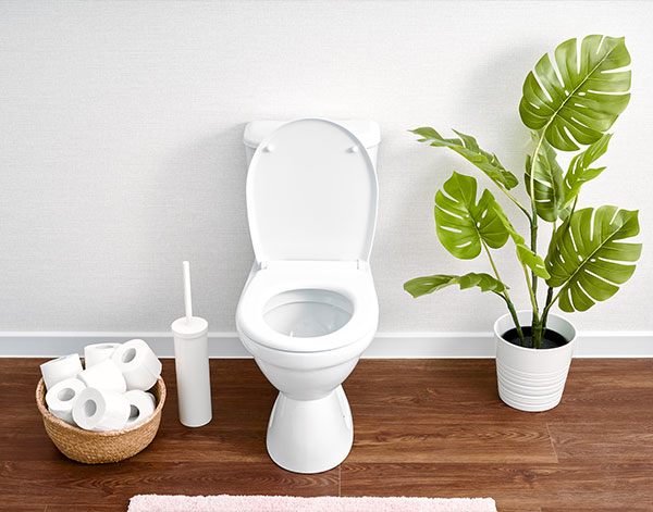 Modern toilet, Ceramic toilet bowl with toilet paper near light wall