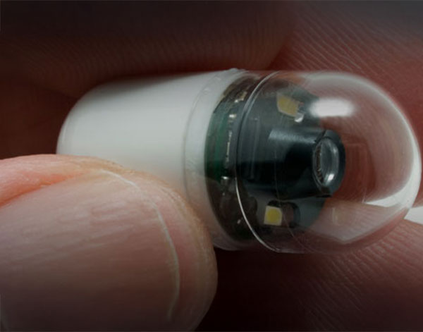 a tiny endoscopy camera encased in a vitamin-sized capsule