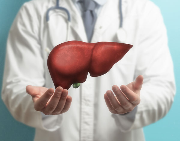 Concept of healthy liver and donation